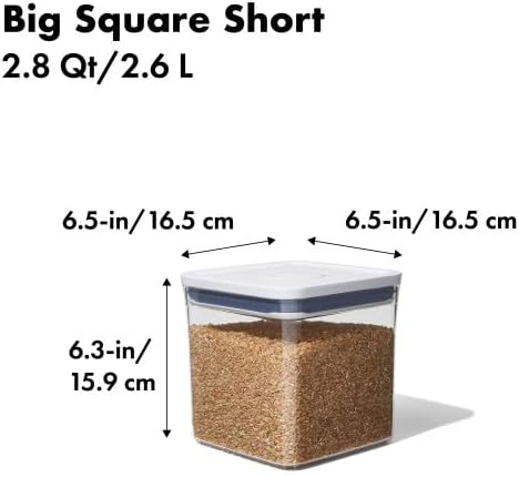 OXO Good Grips POP Container, Airtight Food Storage for Pantry, 2.8 Qt