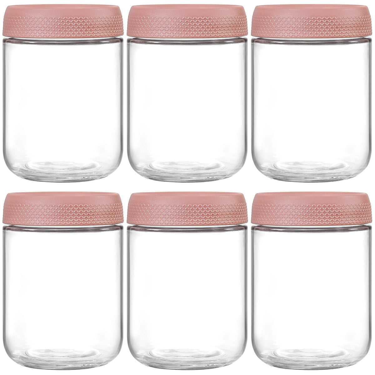 NETANY 6-pack 16 oz Overnight Oats Containers with Lids, Glass jars with Airtight Lids, Wide mouth Mason Salad jars, Glass Food Storage Containers for Snacks Yogurt Spice Sugar