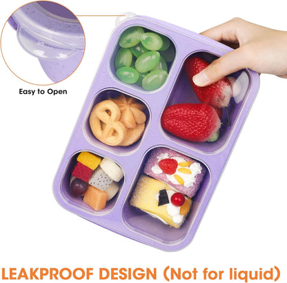 Korlon 6 Pack Bento Box Adult 5 Compartments, Reusable Lunchable Container